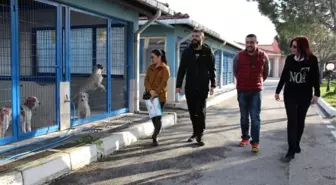 Sokak Hayvanlarına Şefkat Eli