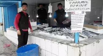 Hisarcık'lı Balıkçı Bir Günlük Hasılatını Afrin'e Bağışladı