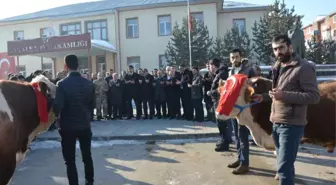 Aşkale'den Afrin'deki Mehmetçiğe 2 Adet Tosun Gönderdiler