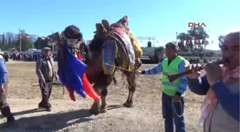 Develer Halı Saha İçin Güreşti