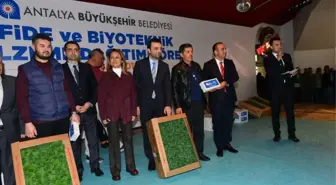 Hortumda Zarar Gören Üreticilere Fide ve Biyoteknik Malzeme Yardımı