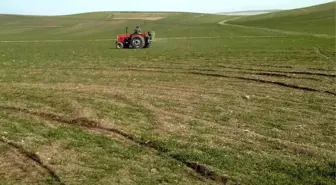 Yozgatlı Çiftçiler Ekinlerinin Gübreleme Çalışmalarına Başladı