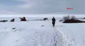 Ardahan Milli Atletin Şaşırtan Başarı Hikayesi