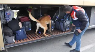 Jandarmadan Köpekli Yol Denetimi