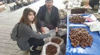 Cevizin Fiyatı Cep Yakıyor