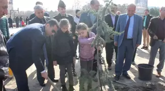 Kaymakamı Girgin, Anaokulu Öğrencileri ile Ağaç Dikimi Kampanyasına Katıldı