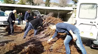 Kastamonu'da Çiftçilere 18 Bin Adet Fidan Dağıtıldı