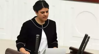 Hdp Milletvekili Öcalan'a Hapis Cezası