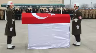 Bingöl Şehidi, Memleketi İzmir'e Uğurlandı