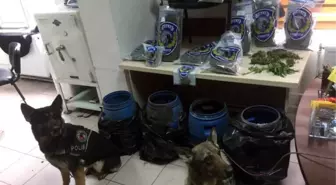 Samsun'da Bidonlar İçinde Toprağa Gömülü Esrar Ele Geçti