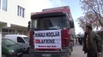 Kınalı Koçlar Afrin'e'