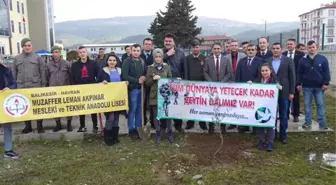 Havranlı Öğrencilerden Anlamlı Mesaj 'Tüm Dünyaya Yetecek Kadar Zeytin Dalımız Var!'