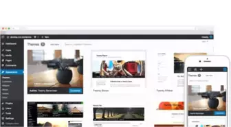 Wordpress Tüm Sitelerin Yüzde 30'unda Kullanılıyor