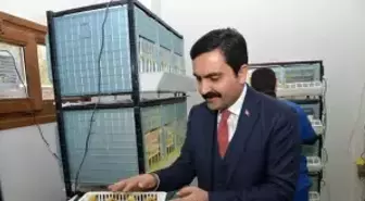 Yumurtadan Çoğalan Evcil Hayvanların Satışı Başladı