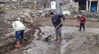 Mahallenin Gençleri Bahar Temizliği Yaptı