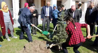 Çocuk Evleri'ndeki Çocuklar 41 Şehit İçin 41 Çam Ağacı Dikti