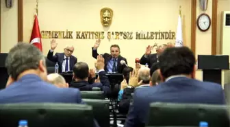 Bafra Kapıkaya'ya Yamaç Paraşütü Tesisi Meclisten Geçti