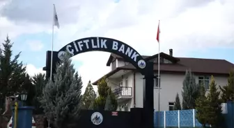 Güncelleme - 'Çiftlik Bank' Soruşturmasında Tutuklama