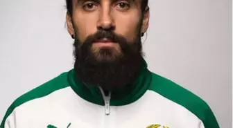 Erkan Zengin, Yeniden Hammarby'de