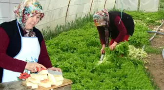 Eşine İnat Lokanta Açan Yaşlı Kadın, Şimdi 5 Kişiye İş İmkanı Sağlıyor