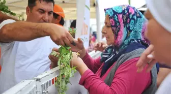 Seferihisar Tohum Bayramı'na Hazırlanıyor