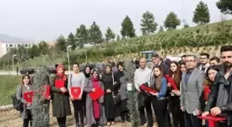 Kbü'de Şehitlerin Anısına Fidan Dikildi