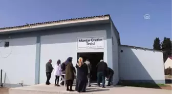 Mantar Üretimi Mükemmeliyet Merkezi' Açıldı