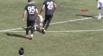 Tunceli Sahaya Giren Köpek, Az Daha Futbolcuyu Isırıyordu