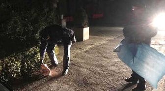 Caminin Kapısına Domuz Kafası Bıraktılar
