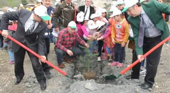 Niksar'da '15 Temmuz Şehitleri Hatıra Ormanı' Kuruldu