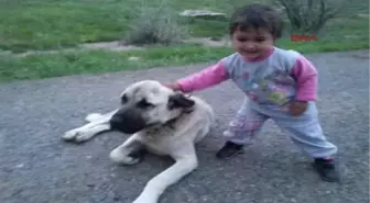 Sivas-Katliamı, Çalan Telefona Cevap Veren 5 Yaşındaki Cennet Haber Verdi-Hd