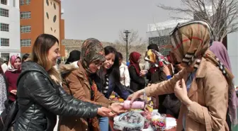 Neü'de Şivlilik Geleneği Sürdürüldü