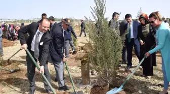 15 Temmuz ve Afrin Şehitler Ormanlığı Kuruldu