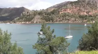 Kızkumu'nda Kaçak İskeleler Yıkılıyor