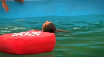 Survivor'da Baygınlık Geçiren Merve'ye Gönüllüler İnanmayınca Ortalık Karışıyor