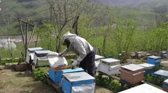 Cumhurbaşkanı'nın Sözünü Dinledi, Bal Kralı Oldu