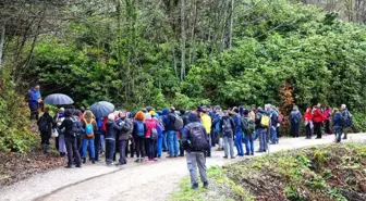 Doğa Yürüyüşleri Büyük Yayla'da Başladı