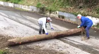 30 Saniyede Tüm Emekleri Heba Oldu