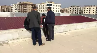 Şanlıurfa'dan Kısa Kısa