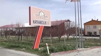 Altınlarını Bozdurup Süt Bankacılığına Yatıran Ev Hanımları Var'