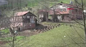 Trabzon-Bu Köy Kanserden Ölüyor