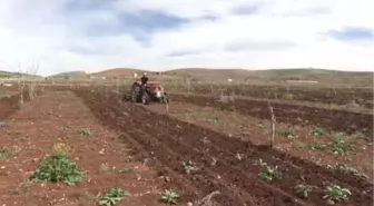 Bakan Fakıbaba'dan 'Erken Destek' Müjdesi