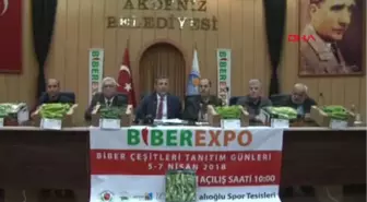 Mersin Biber Fuarına Hazırlanıyor