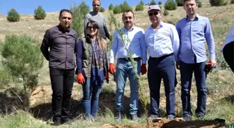 Mardin Barosundan Hatıra Ormanı