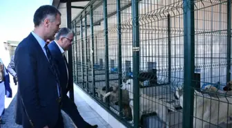 Bursa'ya Örnek Hayvan Bakım Merkezi