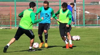 Şanlıurfaspor'da Hazırlıklar Sürüyor