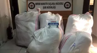 Şehit Mehmet Ayan' Operasyonunda 173 Kilo Esrar Ele Geçirildi