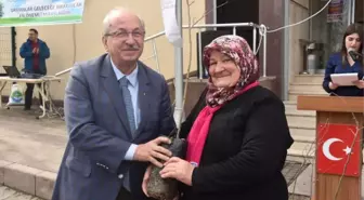 Tekirdağ Büyükşehir Belediyesi Ihlamur Fidanı Dağıttı
