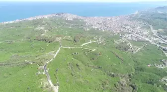 Ünye'de Büyük Değişim