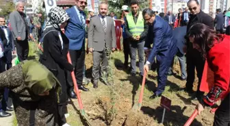 52 Zeytin Dalı Şehidi' İçin 52 Zeytin Fidanı Diktiler